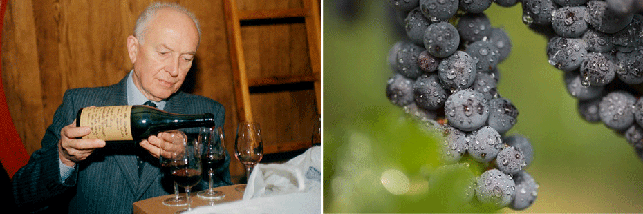 Quitarelli pours wine, ripe grapes