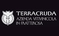 Terracruda